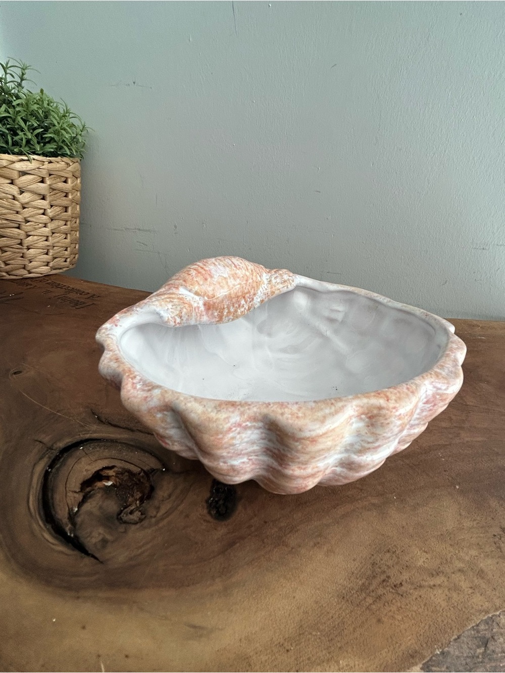 Seashell Clam Ceramic Trinket Bowl Soap Dish in Peach White